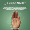 NAD+ con Resveratrol | Formula Anti-Aging 300mg Precusor NMN |