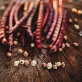 Top Pick Brown Crowder Pea/Cowpea- 50 Seeds - Heirloom & Open-Pollinated Variety, USA-Grown, Non-GMO Vegetable Seeds for Planting Outdoors in The Home Garden, Thresh Seed Company