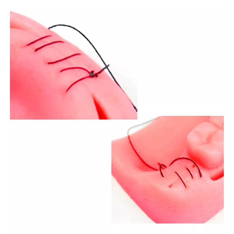 BDU Pad Para Practica De Sutura E Incisiones (5001)