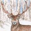 20 Napkins Cute Deer in Front of Birch Forest Animals Winter 33 x 33 cm
