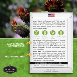 Velvet Queen Sunflower Seed for Planting - 3 Packets with Instructions to Plant and Grow Sunflower in Your Home Flower Garden - Non-GMO Heirloom Variety - Survival Garden Seeds - Vibrant Red Blooms