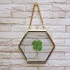 Clovers Online Genuine Four Leaf Clover Gold Brass and Glass