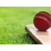 Cricket Leather Ball (set of 2) 50 Over Cricket Ball