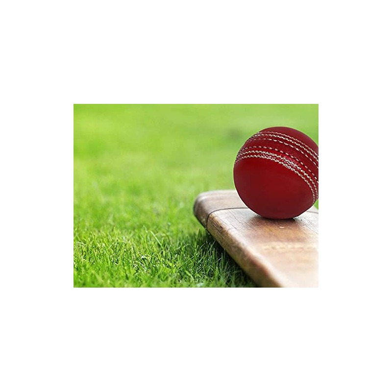 Cricket Leather Ball (set of 2) 50 Over Cricket Ball