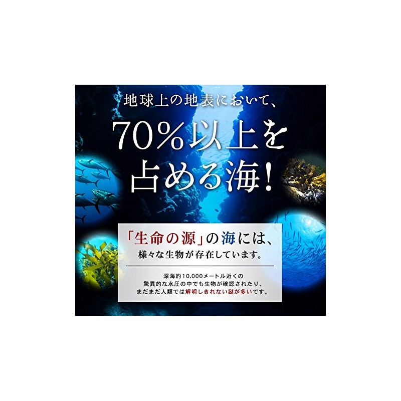 SEA-COMS EPA DHA Akamaku Fukosanthin Fukoidan Supplement, Approx. 12 Month