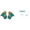 Coastal Carolina Inspired Full Size Football Helmet Decals
