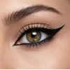 Waterproof Felt Tip Liquid Eyeliner Pen, Quick Dry Black