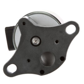 Delphi EG10024 EGR Valve