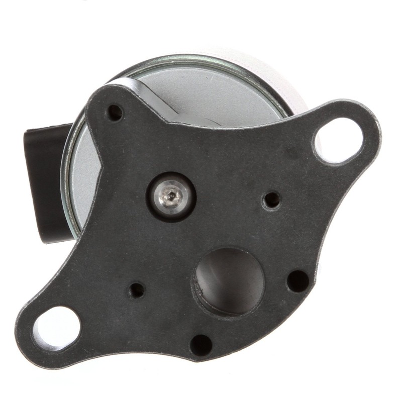 Delphi EG10024 EGR Valve