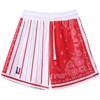 DIOTSR Mens Basketball Shorts Paisley Graphic Shorts Bandana Athletic Running