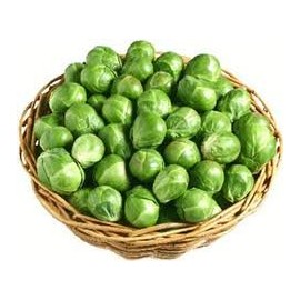 Brussel Sprouts Long Island Improved Great Heirloom Vegetable by Seed Kingdom 600 Seeds