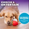 Outward Hound by Planet Dog Foodies Strawberry Treat-Dispensing Dog Chew