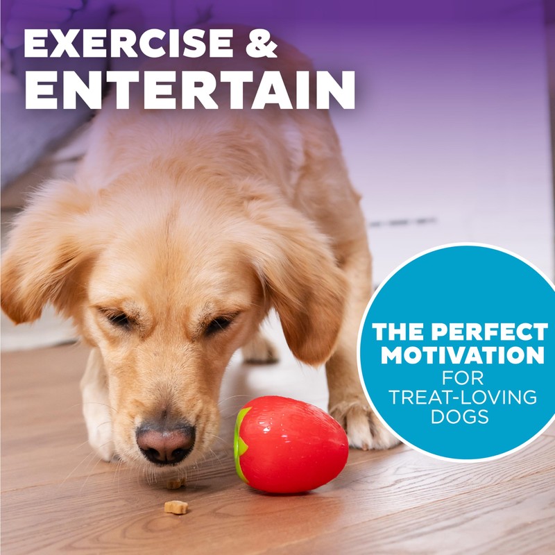 Outward Hound by Planet Dog Foodies Strawberry Treat-Dispensing Dog Chew