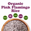 Food to Live Organic Pink Flamingo Rice, 20 Pounds –