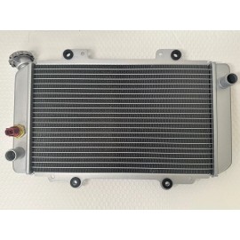 GEOSPACE Radiator ,water tank with sensor fits for hisun 500,700ATV, MASSIMO,BENNCH