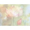Tree-Free Greetings Memories Overflowing Tree-Free Greetings Sympathy Card