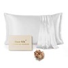 Since Silk Silk Cushion Cover, 22 Momme Double-Sided 100% Mulberry