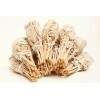 Age of Aquarius California White Sage Wholesale Bundle: 12 White