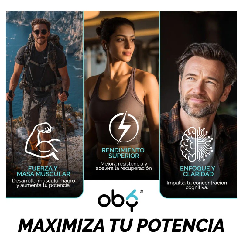 Creatina Monohidratada Micronizada Polvo 100 Alta Pureza Certificada Sabor Disuelve