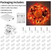 FNHMSL Cherry Enchanted Willow Vine Lights, 7.55FT 144LED 2PCS Pink