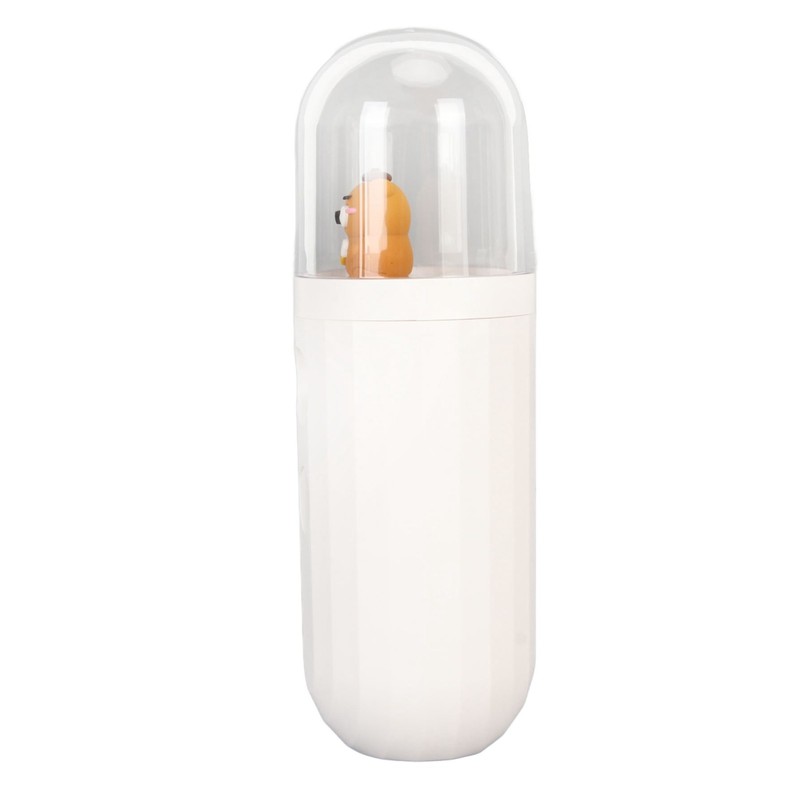 Nano Mist Sprayer Handheld 250mAh USB Rechargeable Nano Mister Facial