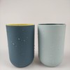 RabyLeo Unbreakable Reusable Drinking Cups Set of 2 Colors, Plastic