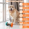 MIUUIPI Interactive Dog Toy, Intelligence Toy for Dogs, Slow Feeder