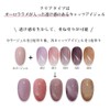 Safe Made in Japan Cat Eye Gel Artist Gel Series