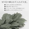 Komo Life Sakaki for Shrine Shelves (2 bundles), artificial flowers,