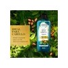 Shampoo Herbal Essences Bio:Renew Argan Oil Of Morocco 400 ml