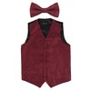 Alizeal Boys Classic Paisley Bow Tie and Suit Vest Set,