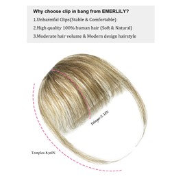 EMERLILY Bangs Hair Clip in Hair Extensions Human Hair Flat Front Face Air Fringe Bangs with Temples Light Brown Soft Real Human Hair Pieces for Women