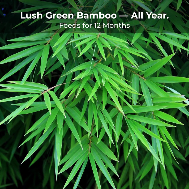 Real Growers Bamboo Special 13-5-11 – 12-Month Slow-Release Fertilizer for