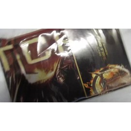 NECA New The Hunger Games Catching Fire Movie Flaming Mockingjay 20X26 Bed Pillowcase