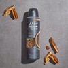 Dove Men+Care Dry Spray Antiperspirant Cedarwood + Tonka 4 Count