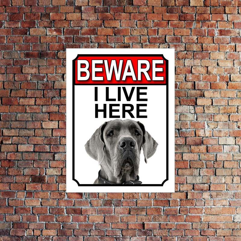 Shawprint BEWARE I LIVE HERE METAL GATE SIGN GREAT DANE