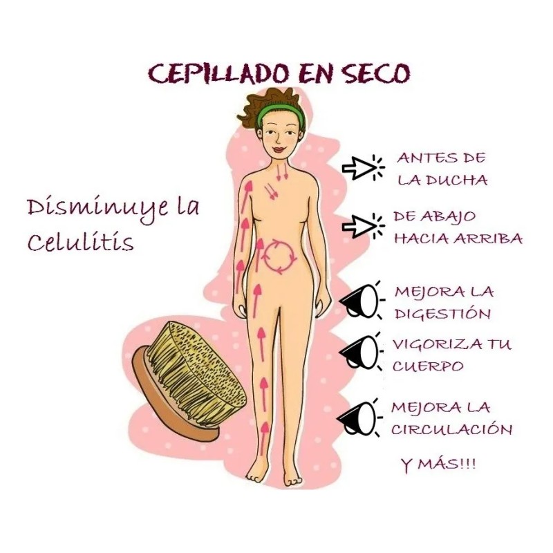 Cepillo Cuerpo Cerdas Naturales Cepillado Seco Especial