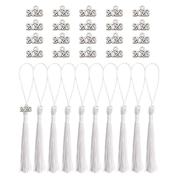 Tupalizy 10PCS Mini Silky Handmade Bookmark Tassels with 20PCS 2023 Year Charms for Graduation Keychain Earring Jewelry Making Wedding Favors Souvenir Gifts Tags DIY Craft Projects (White & Silver)