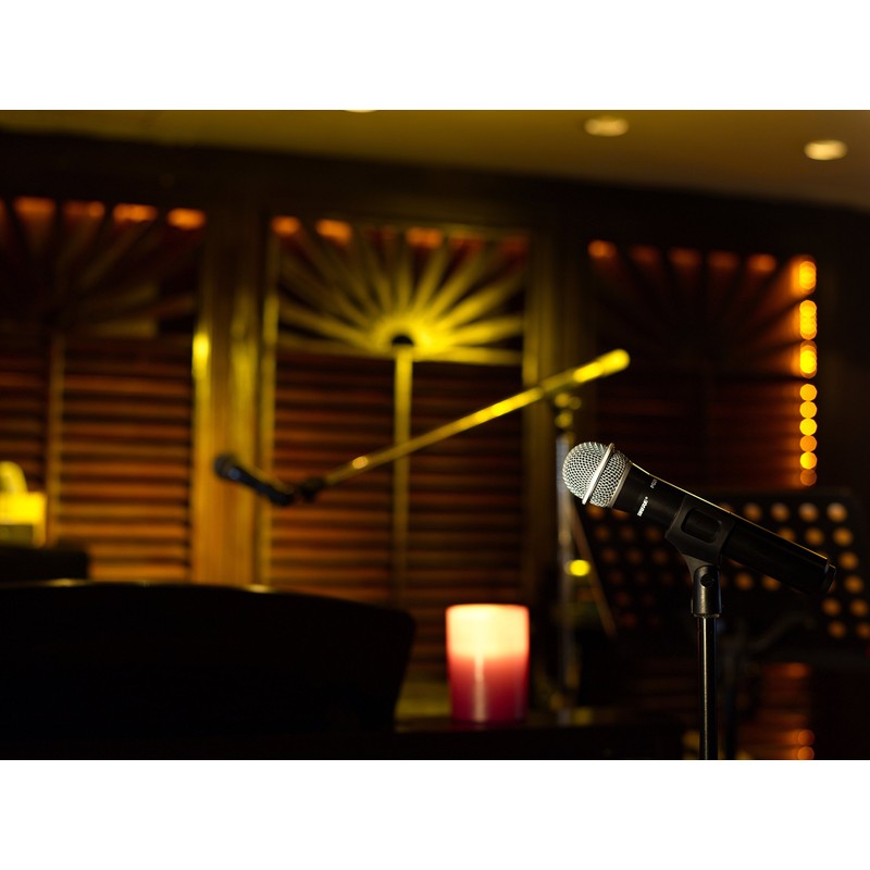 SHURE SVX2/PG28-JB1 Handheld Microphone