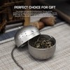 Boundless Voyage Titanium Tea Ball Infuser with Extended Chain Hook