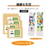 [GuoCang] Foot Point Socks, Foot Urn, Socks, Men's, Footbed, White