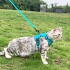 pangdi Cat Harness and Leash Set Escape Proof Tactical Medium