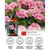 Geranium Essential Oil, Mumianhua Pure Rose Geranium Oil for Balanced