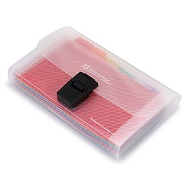 BTSKY - Organizador de archivos de acordeón de 13 bolsillos, portafolios de plástico para tarjetas, cupones, recibo, artículo de impuestos, mini carpe