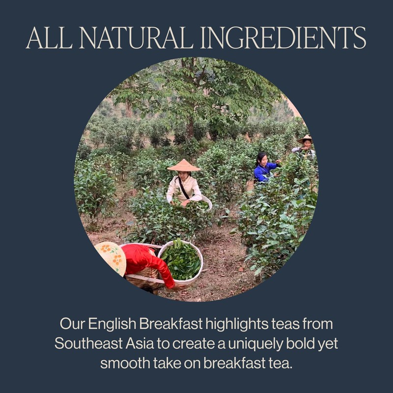 Rishi Tea English Breakfast Tea - Organic Sachet Tea Bags,