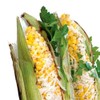 Urban Accents Chipotle Parmesan Seasoning Blend, 2.7 oz