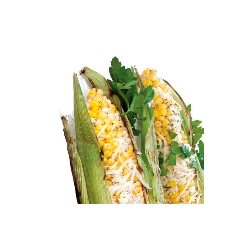 Urban Accents Chipotle Parmesan Seasoning Blend, 2.7 oz
