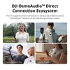 DJI Mic Mini (2 TX + 1 RX), Detail-Rich Audio,