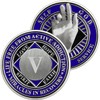 5 Year NA Medallions | Narcotics Anonymous Recovery Coins |