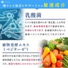 Fine Japan 1 Trillion Lactic Acid Bacteria Prime Lactic Acid